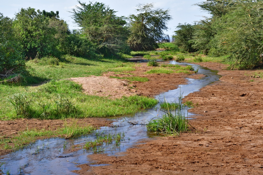 Lake Manyara NP